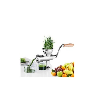 Kalsi Domestic Hand Operated Juice Machine No 10 Specially For Wheat Grass